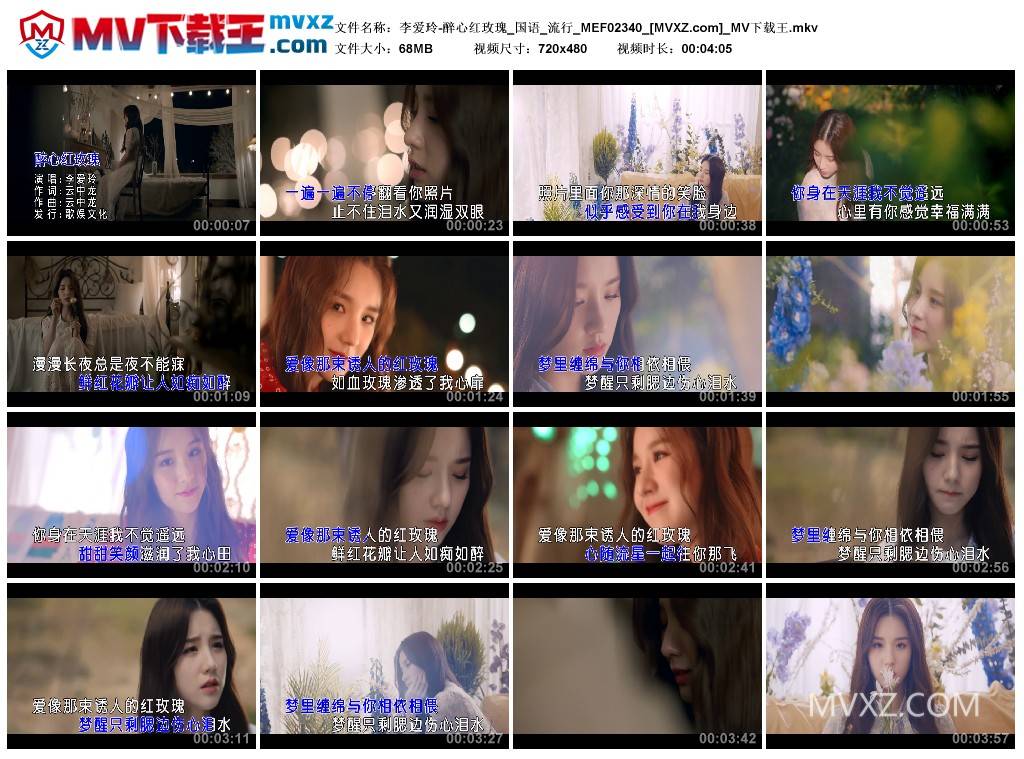 李爱玲-醉心红玫瑰_国语_流行_MEF02340